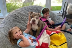 104481736_595595097758462_7501124112323724007_n