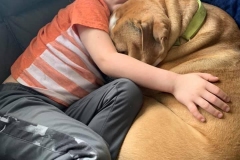 104654133_290183425509593_1989149176011046041_n