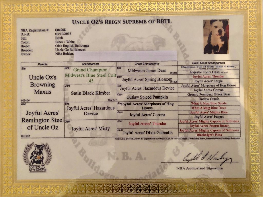 Reign Supreme Pedigree